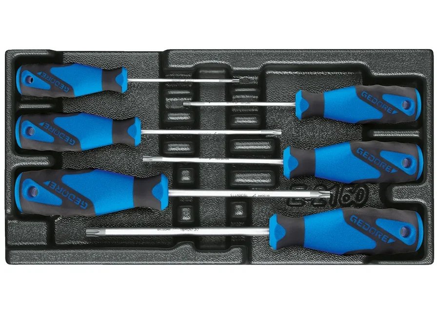 GEDORE 1500 ES-2163 TXB Screwdriver set in 1/3 ES module