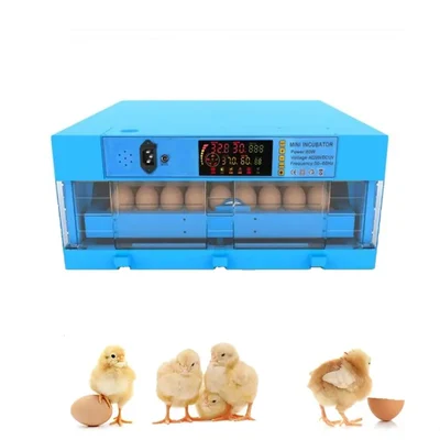 64 Eggs Fully Automatic Egg Incubator With Plastic Body & Rolling Tray