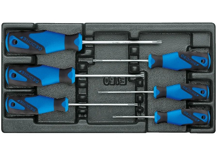 GEDORE 1500 ES-2163 TX Screwdriver set in 1/3 ES module