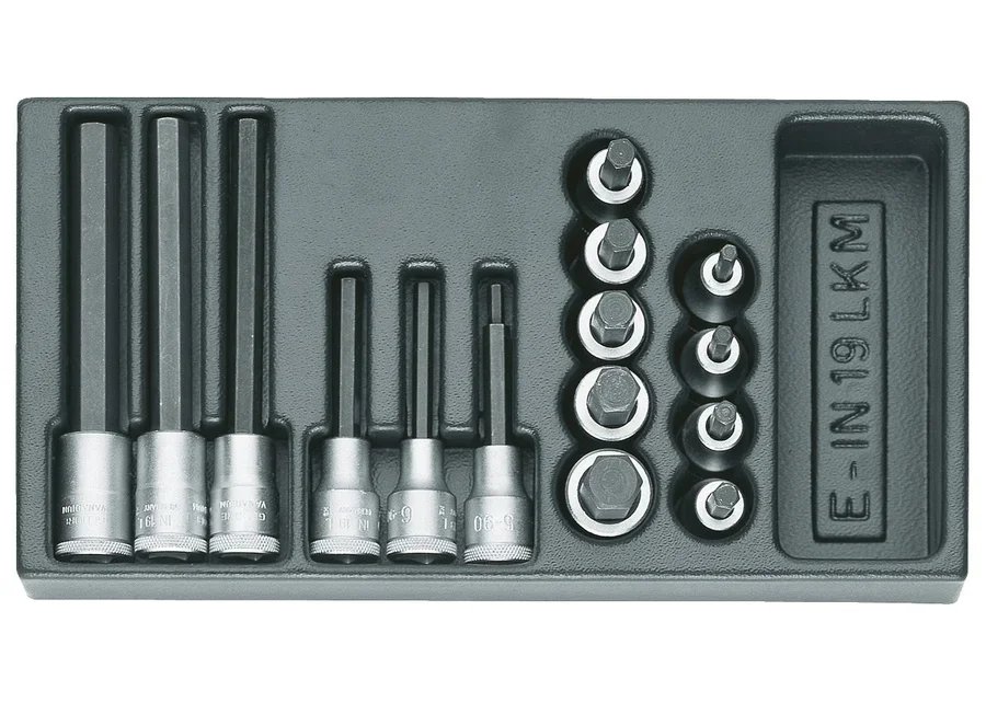 GEDORE 1500 ES-IN 19 LKM Set screwdriver inserts 1/2" in 1/3 ES module