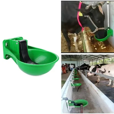 Automatic Animal Water Drinking Bowl, 2 Liters Capacity