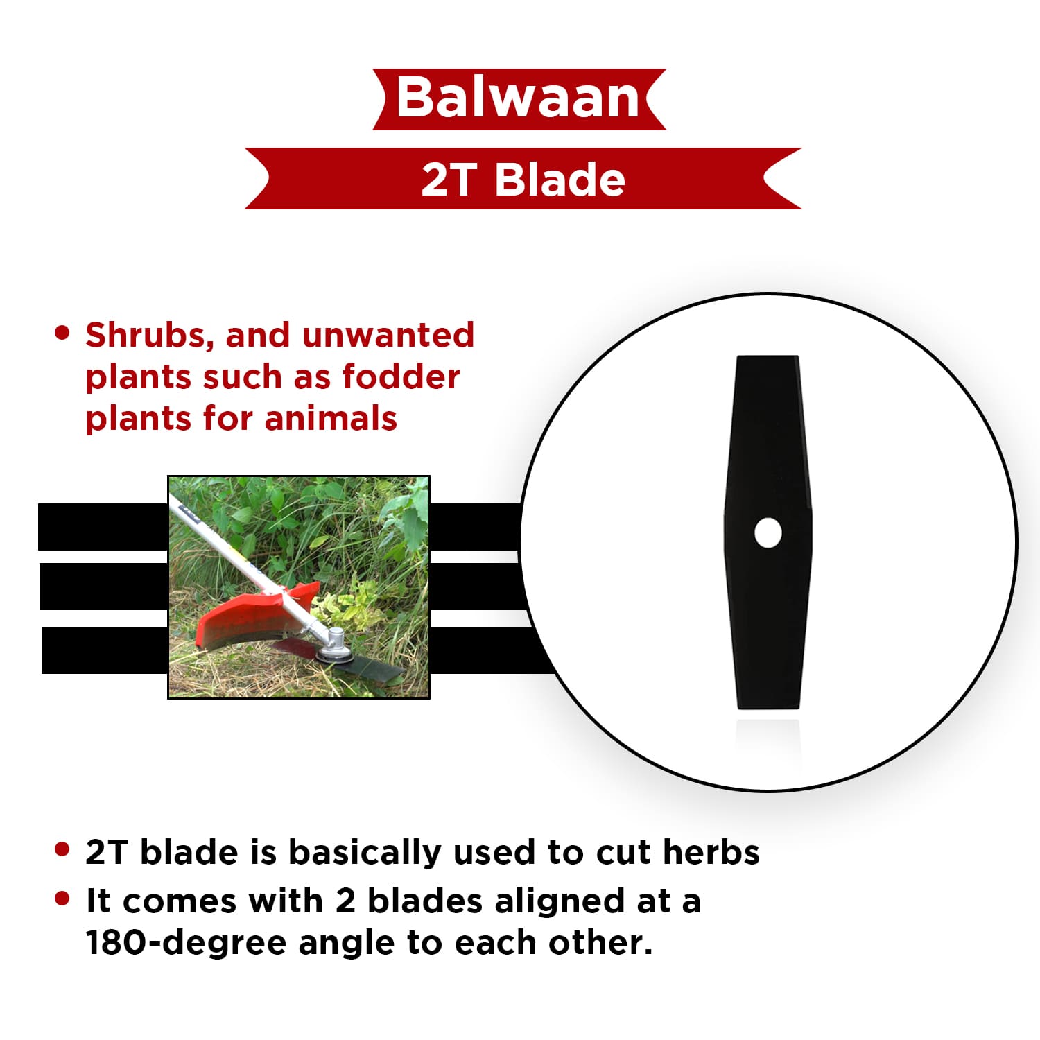 Balwaan 2 teeth Blade for Brush Cutter - photo 5