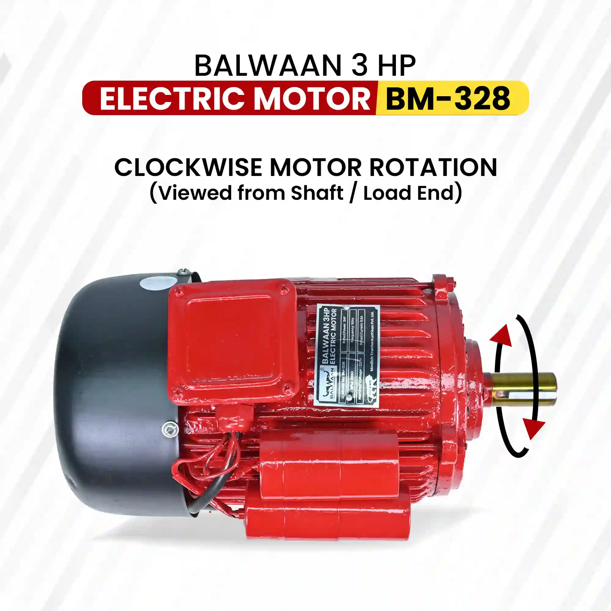 Balwaan 3 HP Electric Motor BM-328 - Heavy Duty 100% Copper Winding Motor for Agricultural & Motor-Operated Machines - photo 4