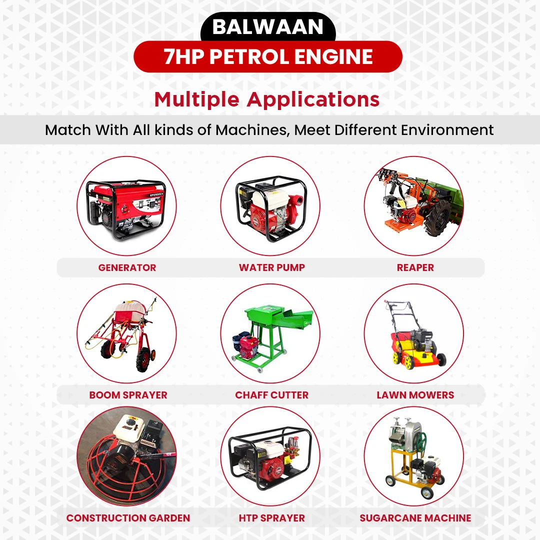 Balwaan 7 HP Bare Petrol Engine - BX-212 - photo 4