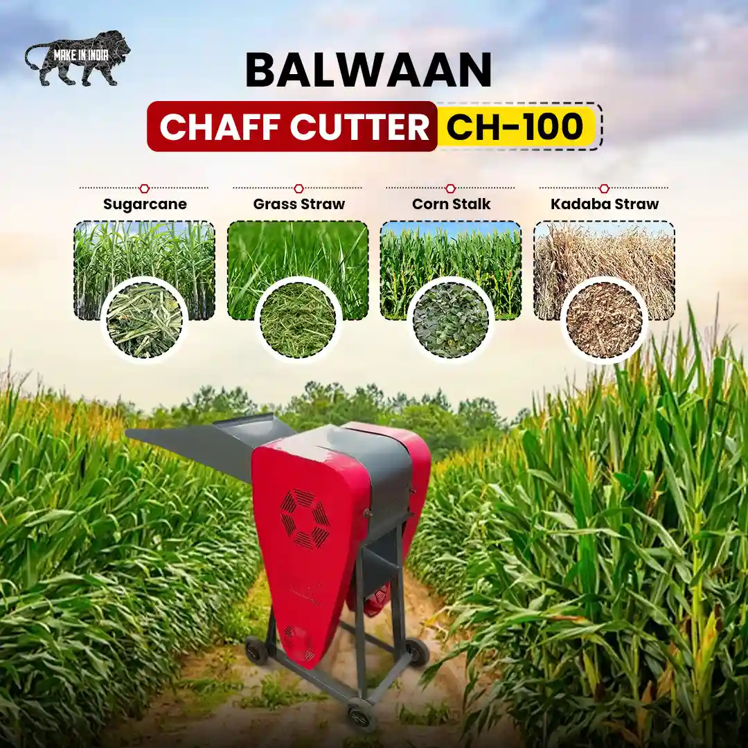 Balwaan CH-100 Chaff Cutter Machine for Dairy Farming - 300–500 Kg/Hour Fodder Cutting Capacity - photo 4
