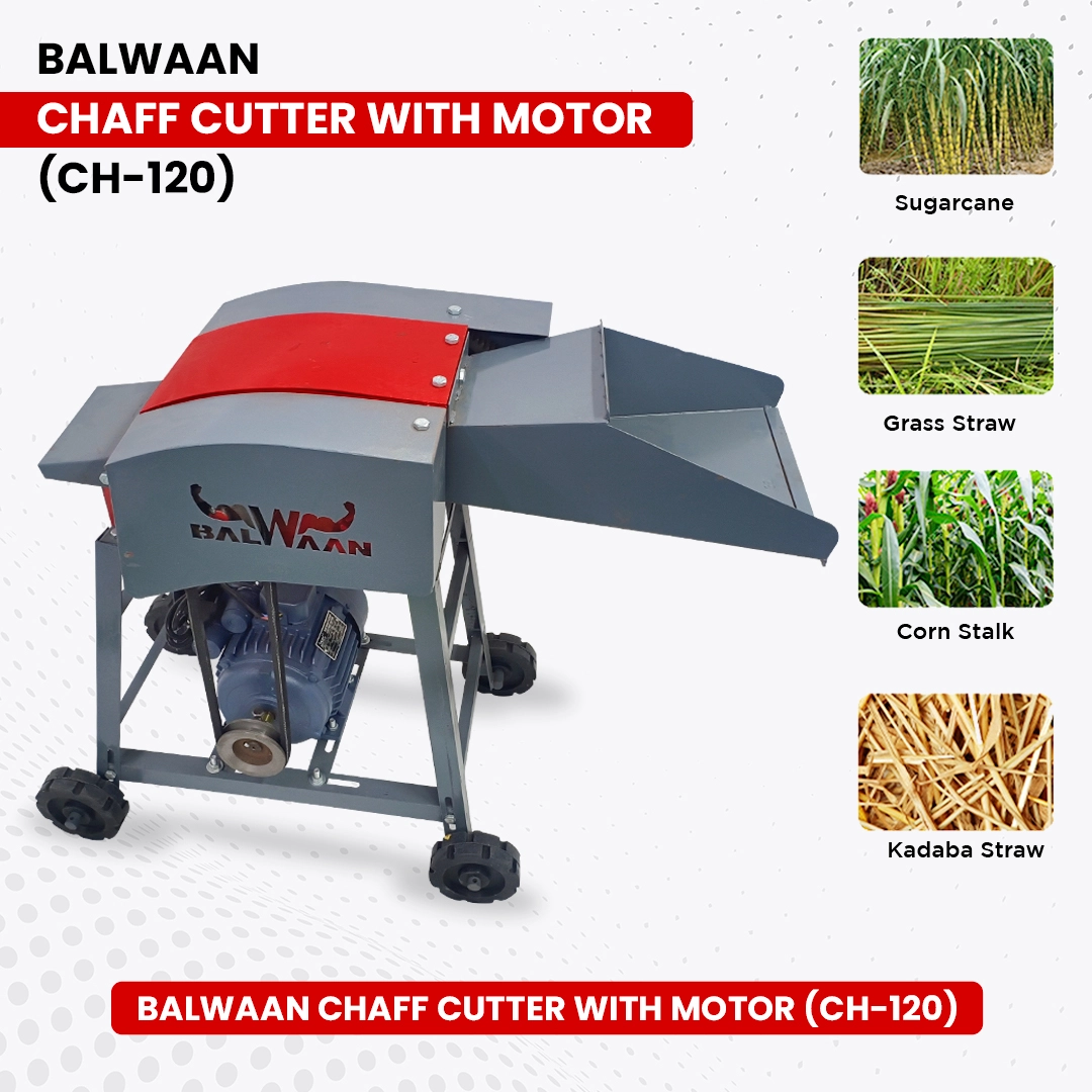 Balwaan Chaff Cutter CH-120 With 2HP Motor - Comes with 4 pieces of Blade and RPM 1440 - Suitable for cutting up straw or hay for fodder into small pieces - Use for Small Dairy Farming - photo 2