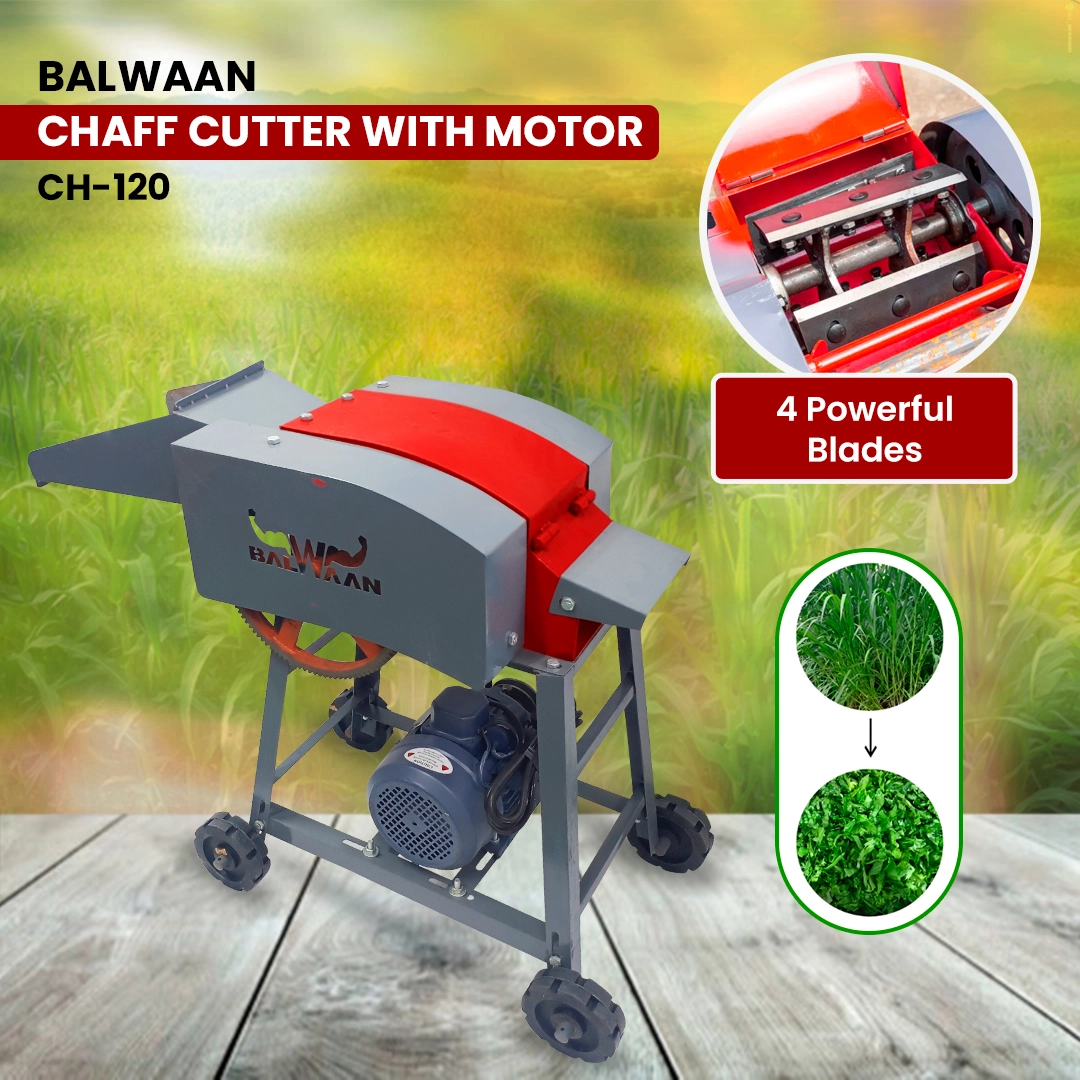 Balwaan Chaff Cutter CH-120 With 2HP Motor - Comes with 4 pieces of Blade and RPM 1440 - Suitable for cutting up straw or hay for fodder into small pieces - Use for Small Dairy Farming - photo 4