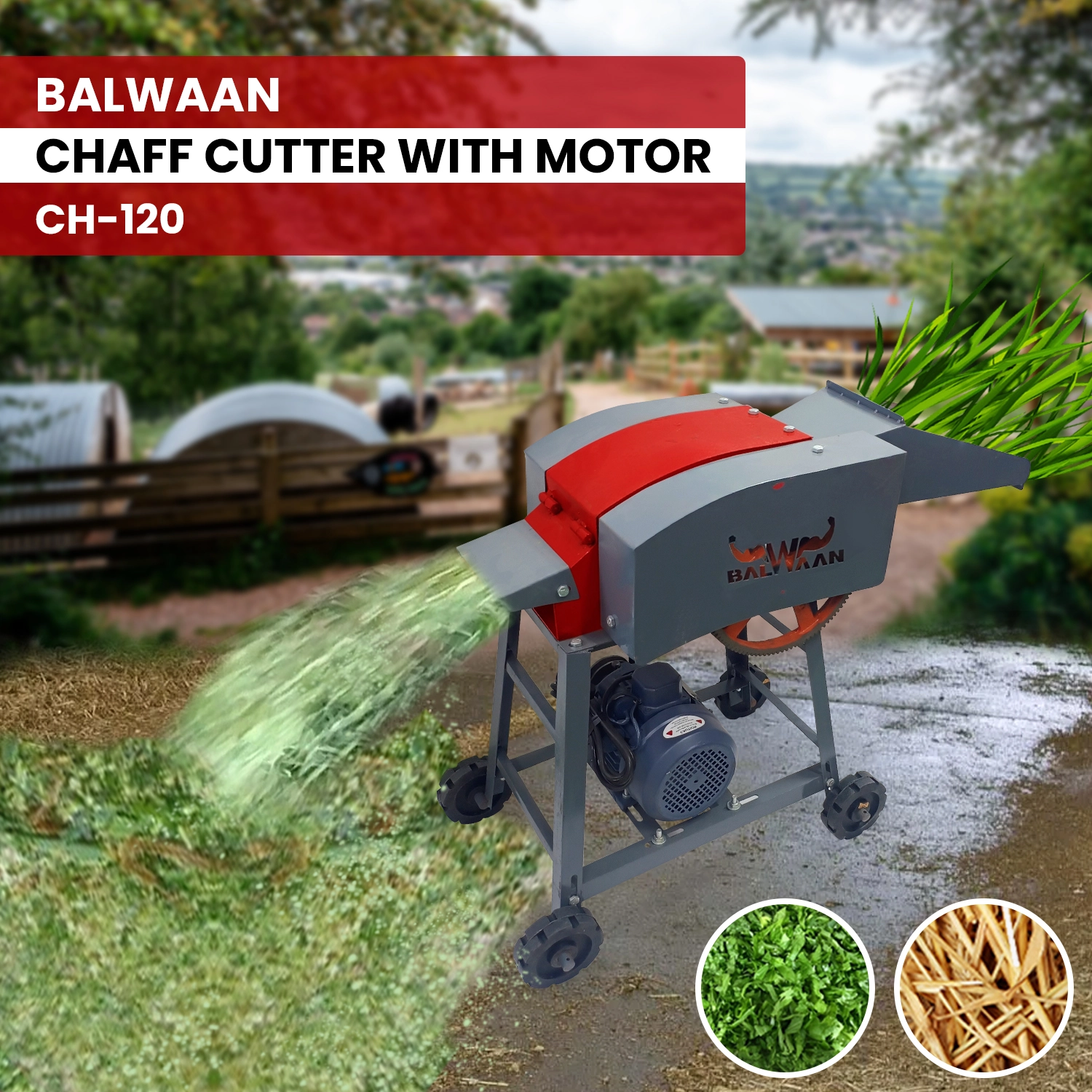 Balwaan Chaff Cutter CH-120 With 2HP Motor - Comes with 4 pieces of Blade and RPM 1440 - Suitable for cutting up straw or hay for fodder into small pieces - Use for Small Dairy Farming - photo 5