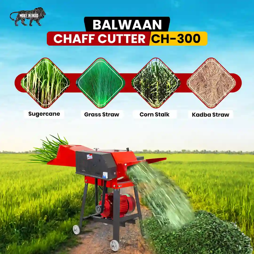 Balwaan Chaff Cutter CH-300 (With Gear & Motor) - photo 6