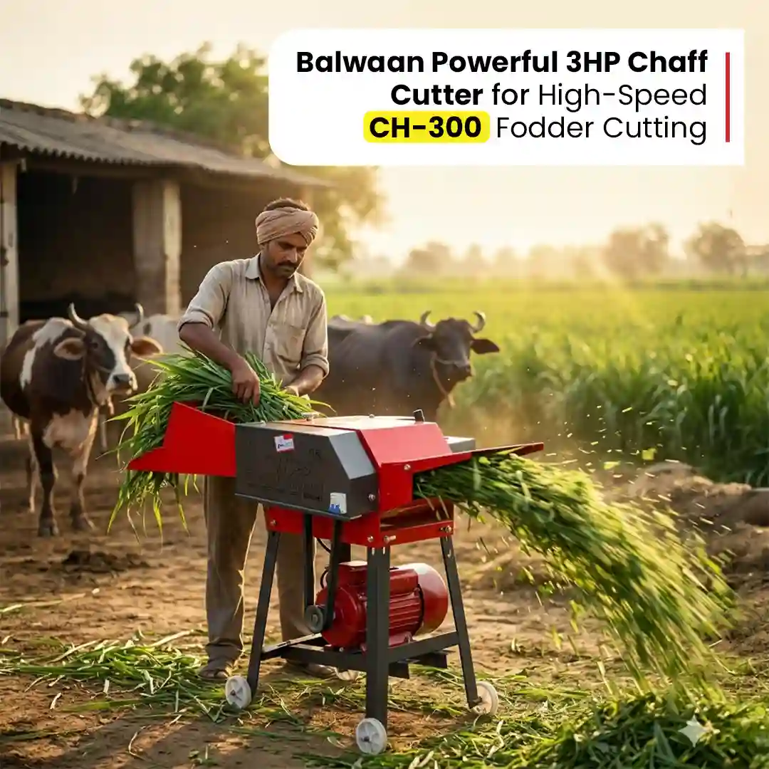Balwaan Chaff Cutter CH-300 (With Gear & Motor) - photo 4