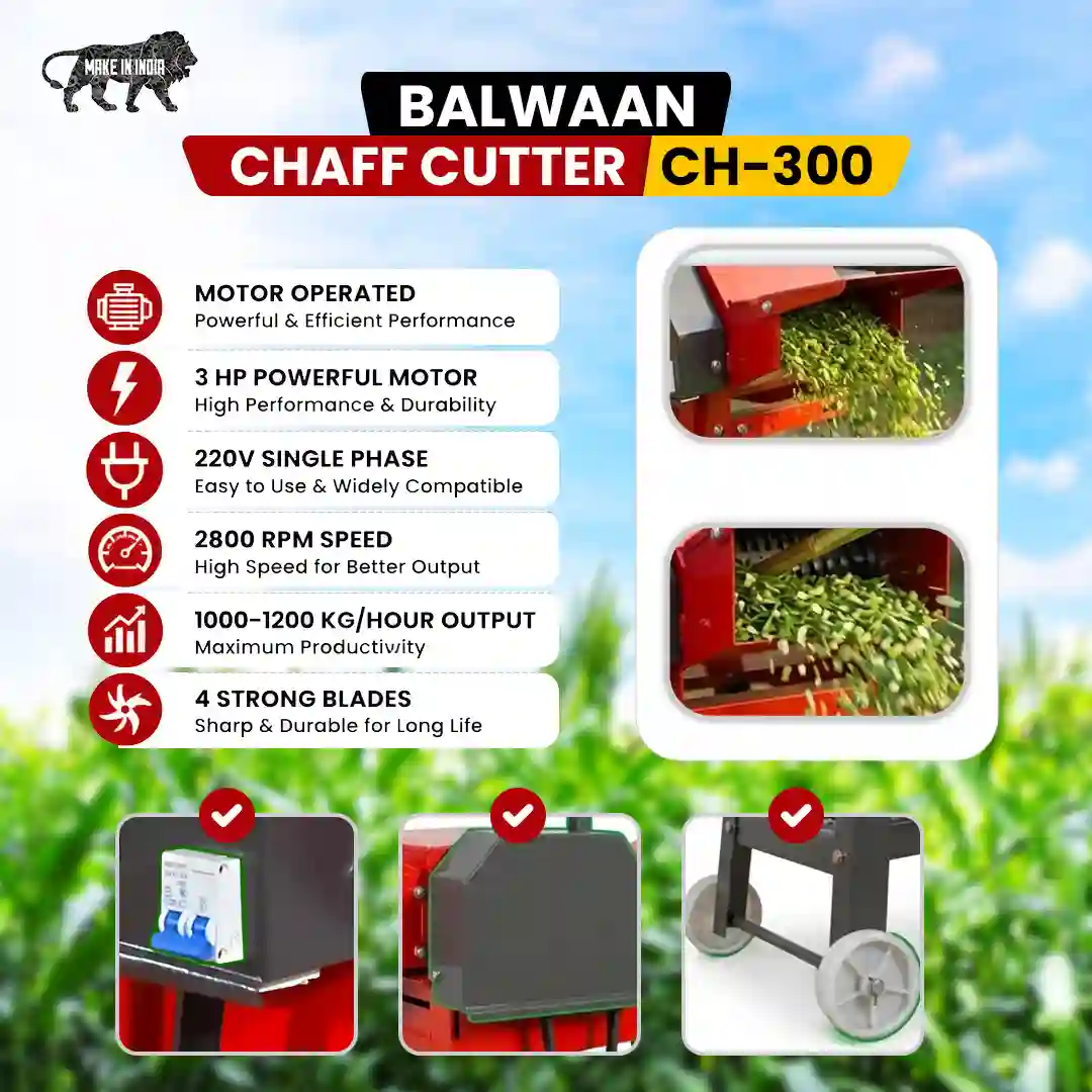 Balwaan Chaff Cutter CH-300 (With Gear & Motor) - photo 2