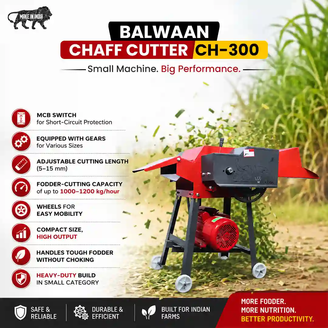 Balwaan Chaff Cutter CH-300 (With Gear & Motor) - photo 3