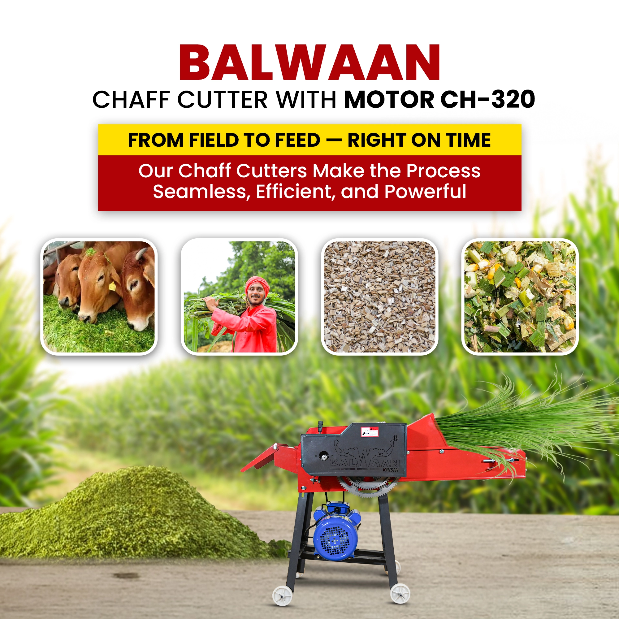Balwaan Chaff Cutter CH-320 (With Gear - Motor & Conveyor Belt) - photo 6