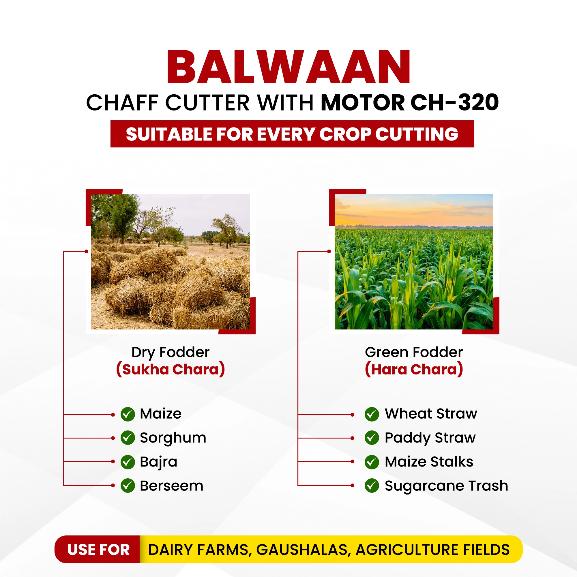Balwaan Chaff Cutter CH-320 (With Gear - Motor & Conveyor Belt) - photo 3