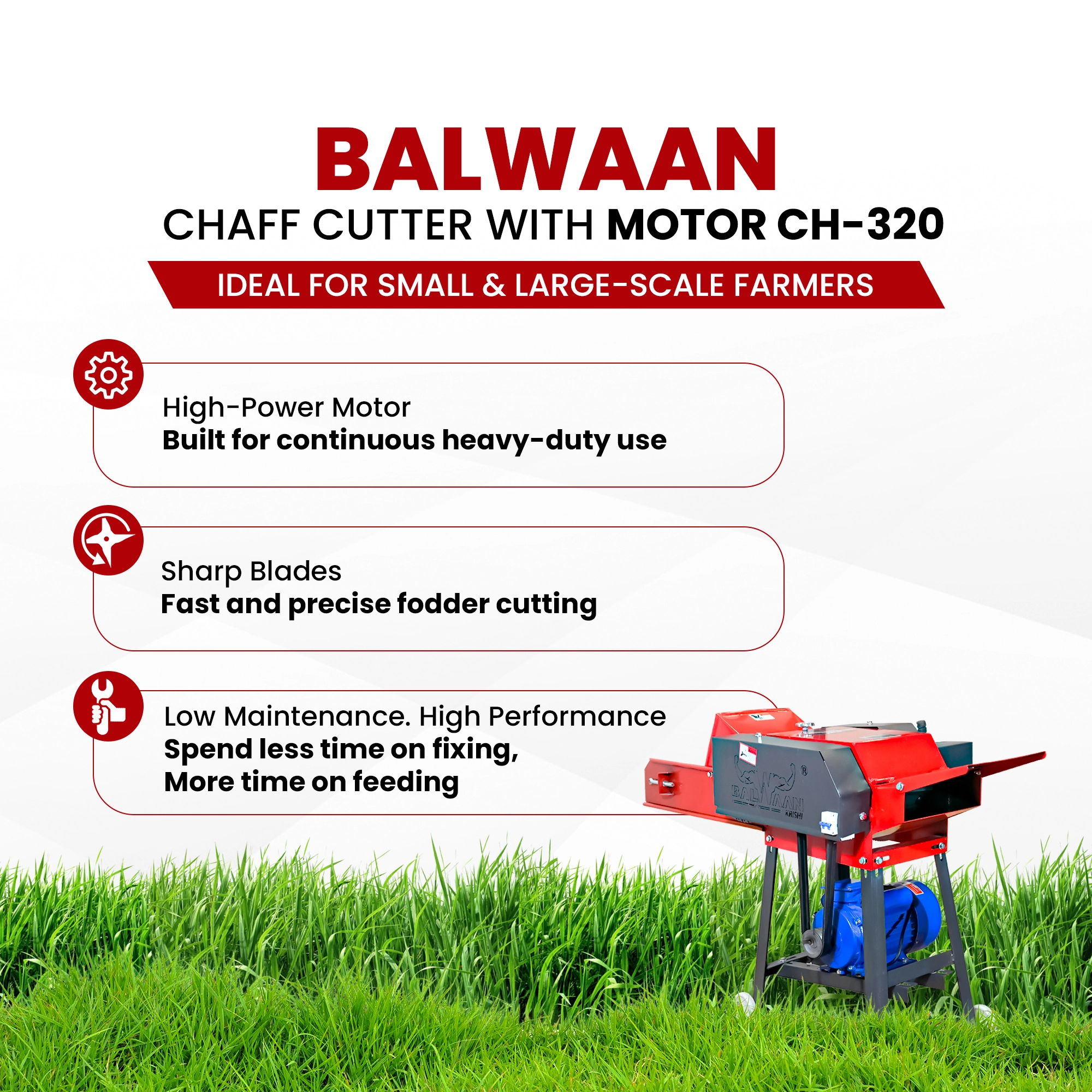 Balwaan Chaff Cutter CH-320 (With Gear - Motor & Conveyor Belt) - photo 5