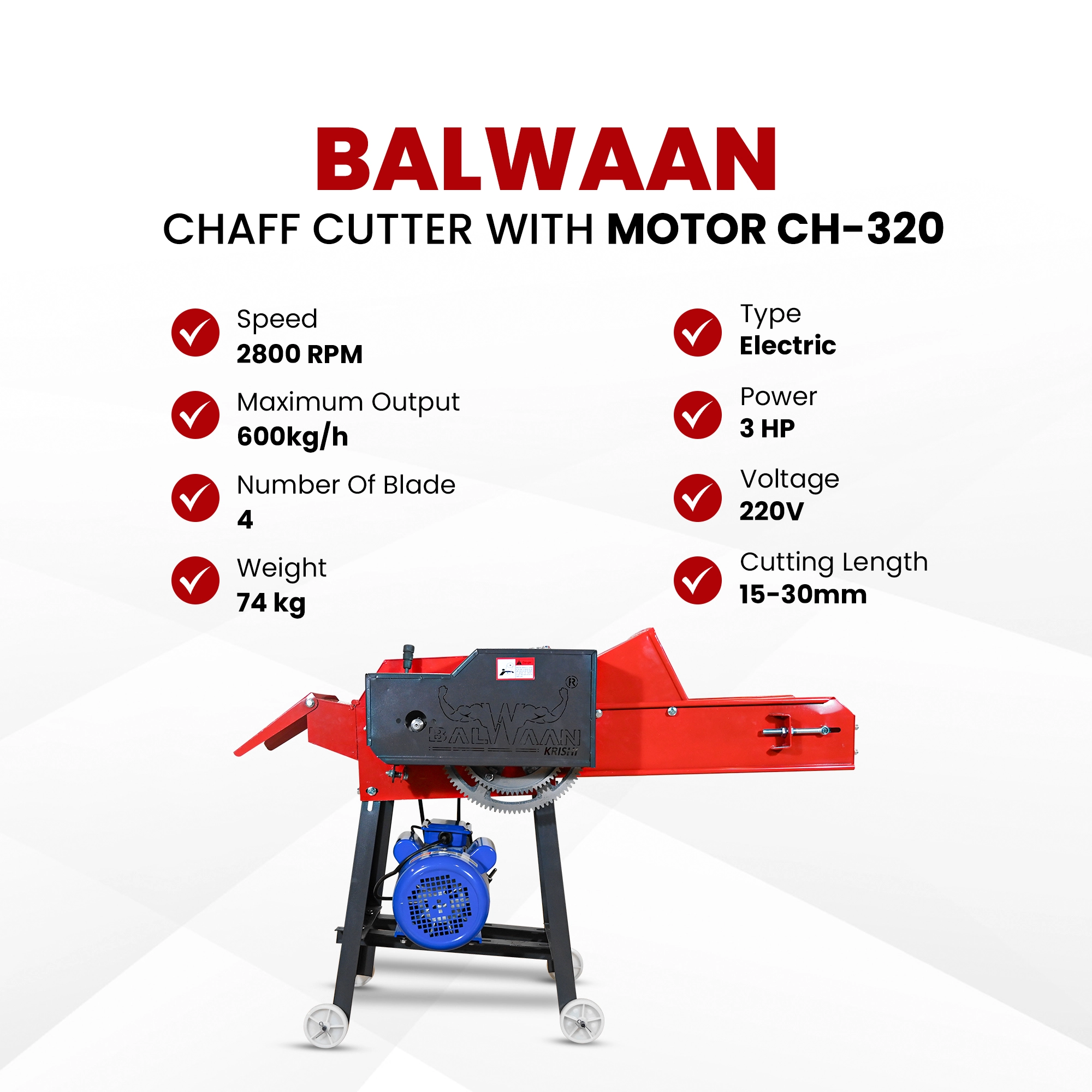 Balwaan Chaff Cutter CH-320 (With Gear - Motor & Conveyor Belt) - photo 7