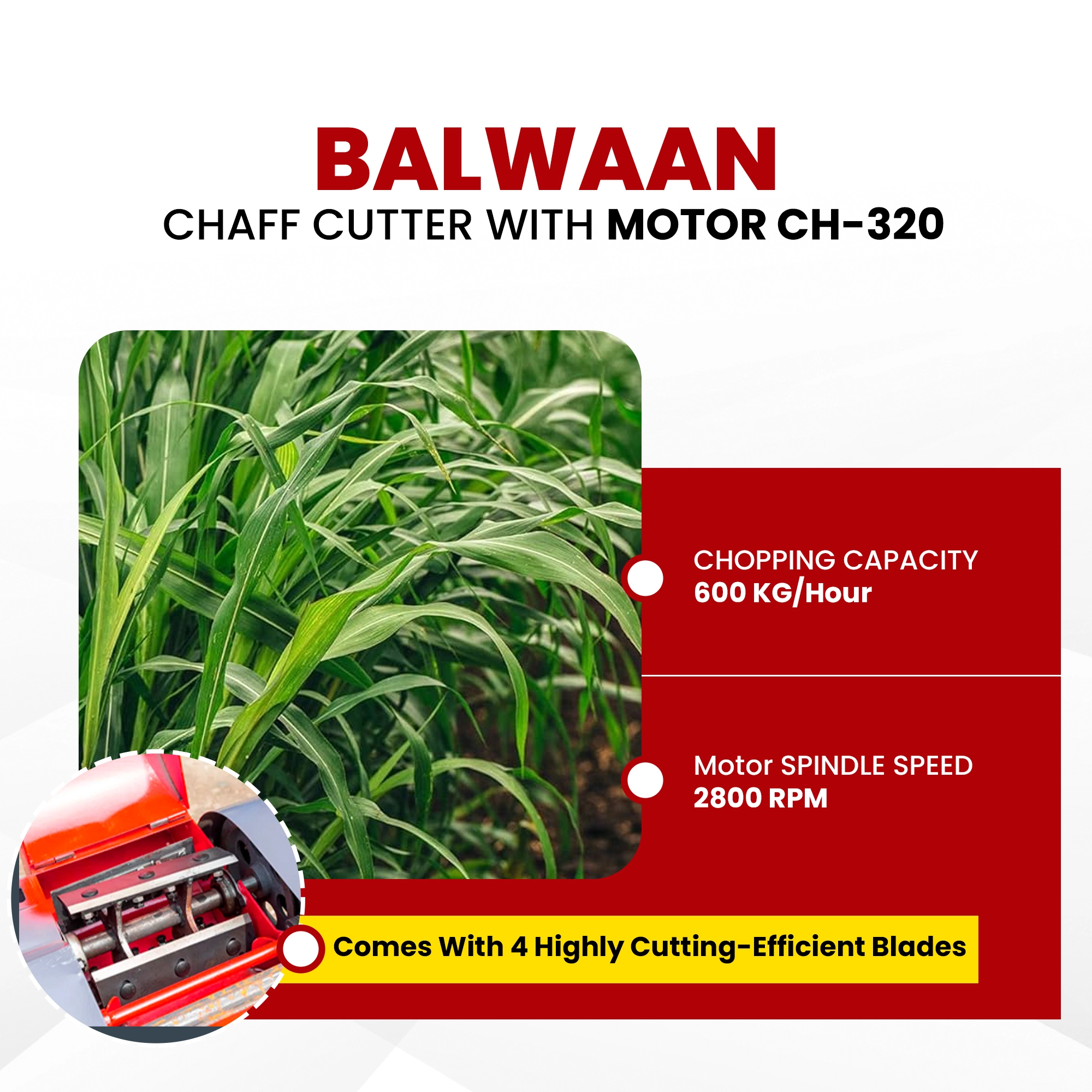 Balwaan Chaff Cutter CH-320 (With Gear - Motor & Conveyor Belt) - photo 4