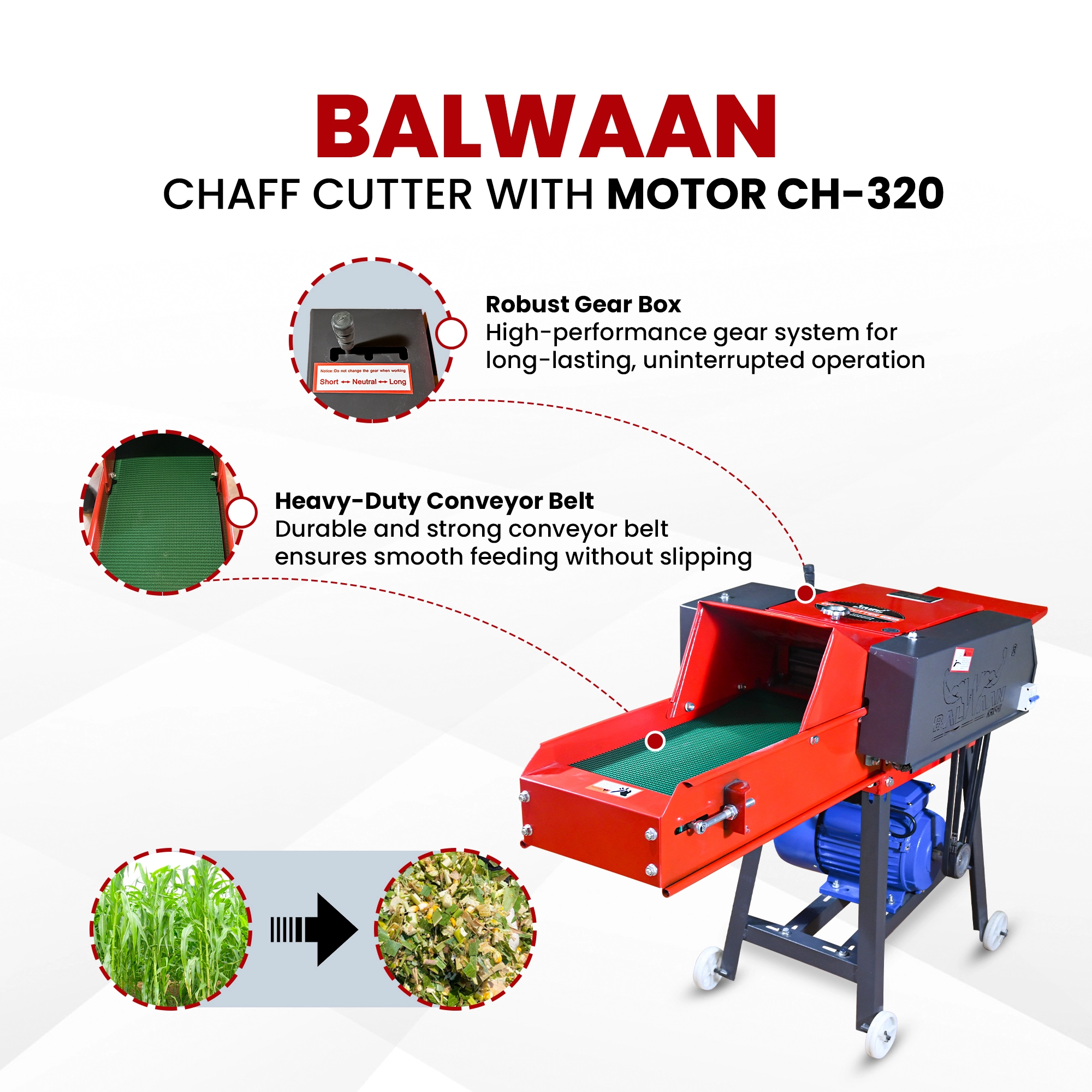 Balwaan Chaff Cutter CH-320 (With Gear - Motor & Conveyor Belt) - photo 2