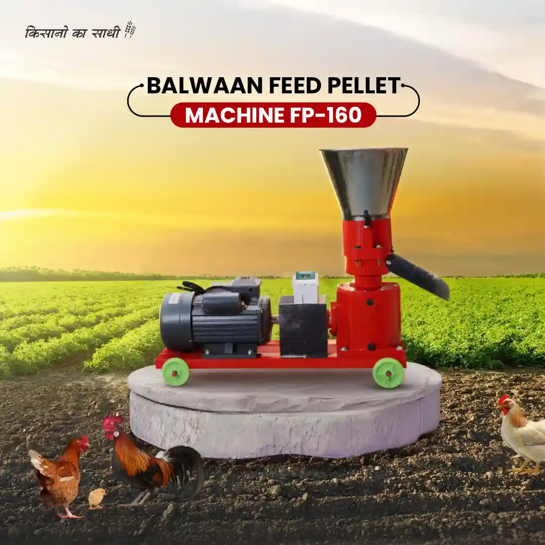 Balwaan Feed Pellet Machine FP-160 - 5HP Copper Motor - 100-130 kg/h Productivity - Professional Cattle & Poultry Feed Maker - photo 8