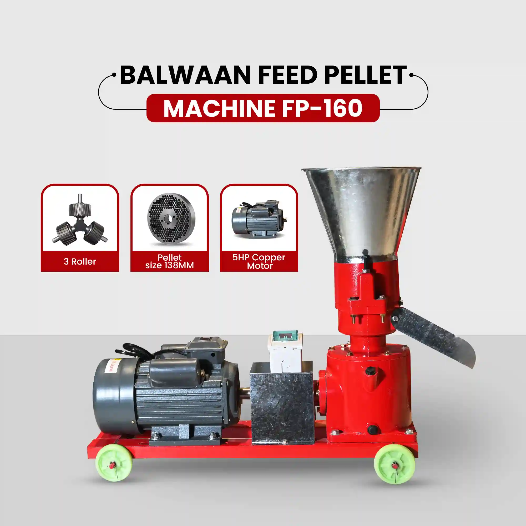 Balwaan Feed Pellet Machine FP-160 - 5HP Copper Motor - 100-130 kg/h Productivity - Professional Cattle & Poultry Feed Maker - photo 4