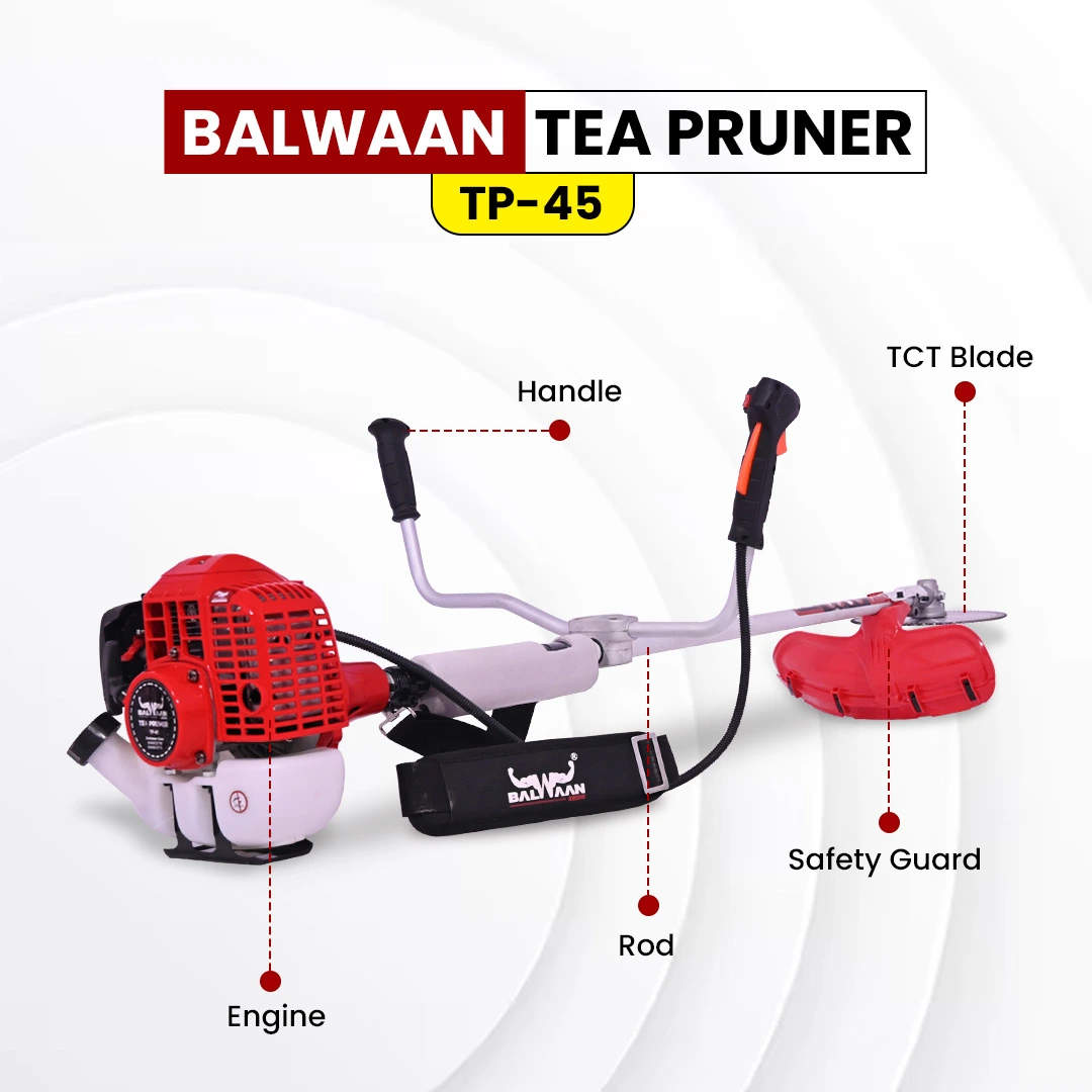 Balwaan Tea Pruner (TP-45) - photo 3