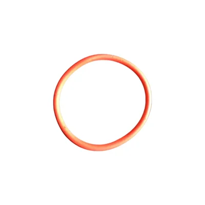 Rubber Ring For 60 LPH Milk Cream Separator (Pack Of 5)